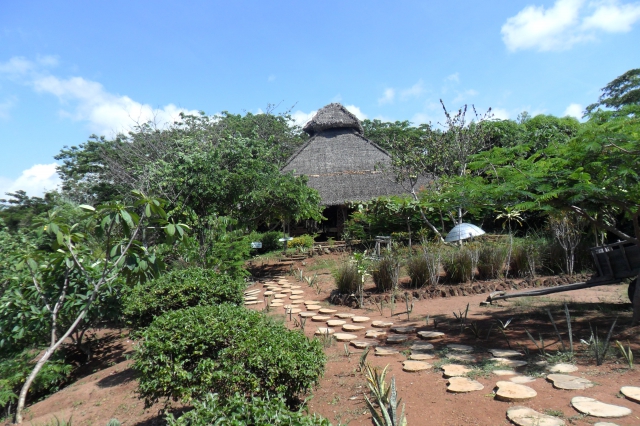 TERRAIN 10HA NOSY BE MADAGASCAR acheter vendre